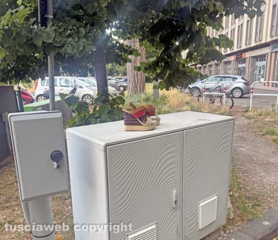 Viale Trento - Sporcizia a viale Trento