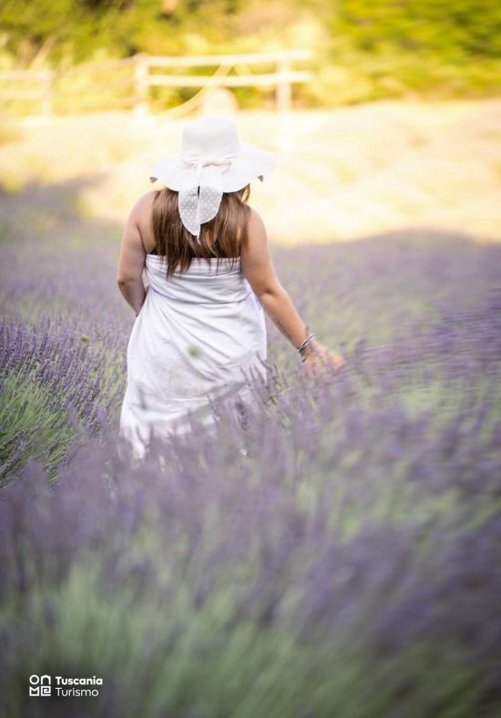 Festa della lavanda a Tuscania