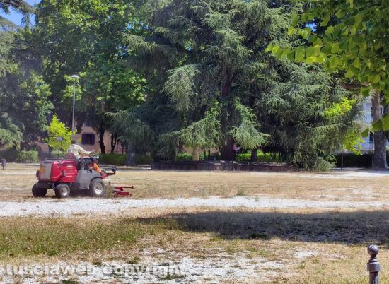 Viterbo - Lo sfalcio dell'erba secca a pratogiardino Lucio Battisti