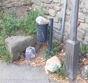 Viterbo - Erba alta e immondizia