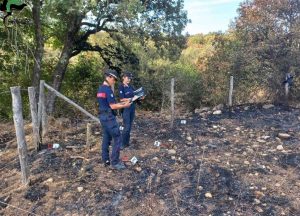 Carabinieri forestale - Incendio