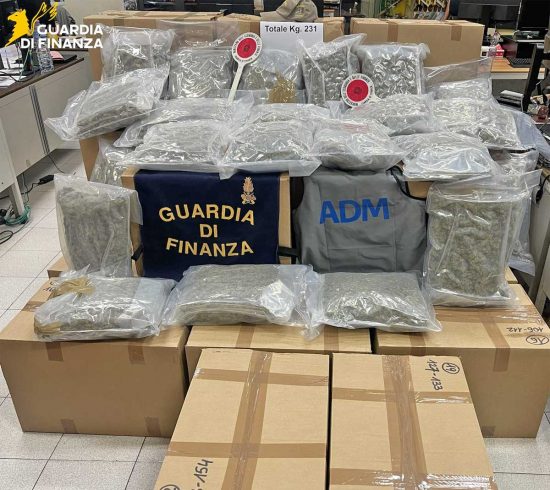 Civitavecchia -231 chili di marijuana sequestrati