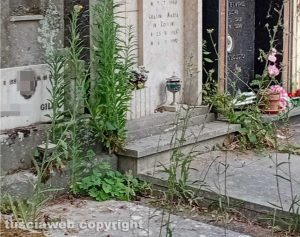 Viterbo - Degrado al cimitero