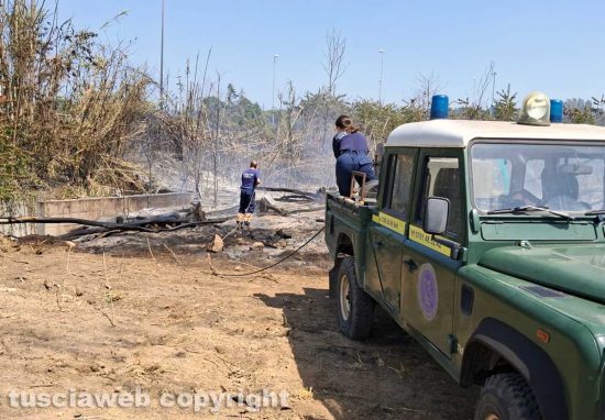 Viterbo - Incendio di sterpaglie e canneto in Strada Ca l'Aglio