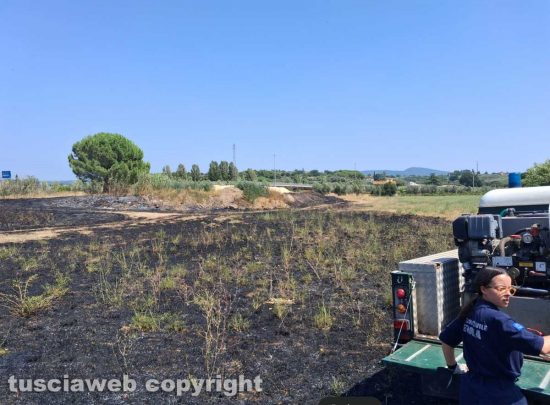 Viterbo - Incendio di sterpaglie e canneto in Strada Ca l'Aglio