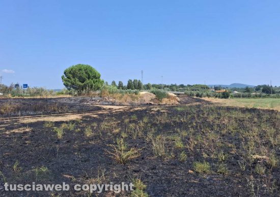 Viterbo - Incendio di sterpaglie e canneto in Strada Ca l'Aglio