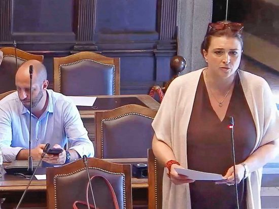 Viterbo - Consiglio comunale - L'intervento di Luisa Ciambella