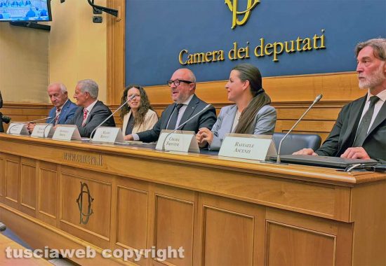 Roma - Il trasporto della macchina di Santa Rosa alla camera dei deputati