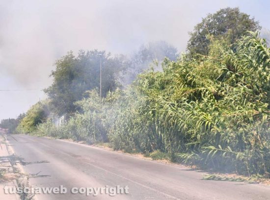 Viterbo - Incendio su strada Bagni