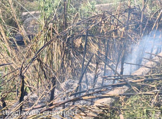 Viterbo - Incendio su strada Bagni