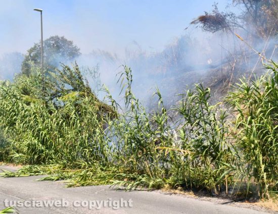 Viterbo - Incendio su strada Bagni