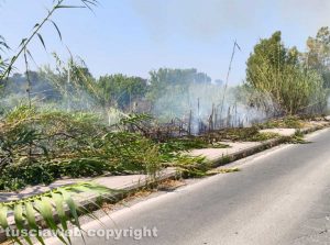 Viterbo - Incendio su strada Bagni