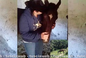Alba Radiosa nella foto allegata al post di Horse Angels
