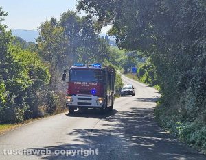 Sterpaglie a fuoco lungo strada Gradolese - Vigili del fuoco e polizia locale sul posto