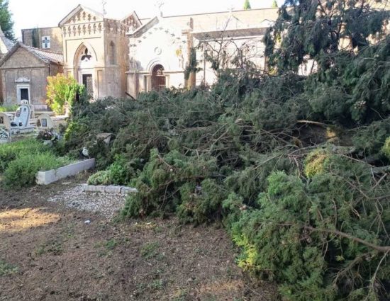 Nepi - Albero caduti al cimitero 