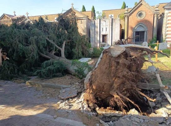 Nepi - Albero caduti al cimitero 