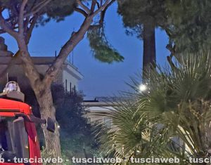 Civitavecchia - Ramo rischia di cadere sul parco giochi, intervento notturno dei vigili del fuoco