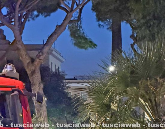 Civitavecchia - Ramo rischia di cadere sul parco giochi, intervento notturno dei vigili del fuoco