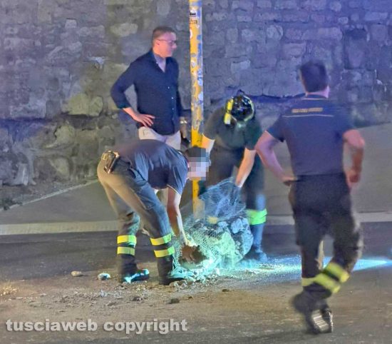 Viterbo - Fregio crolla da porta della Verità, sfiorata la tragedia