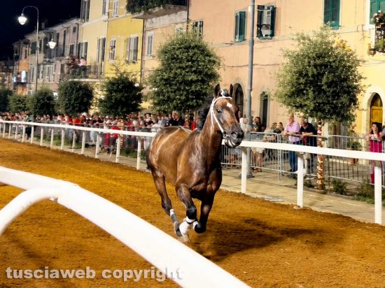 Ronciglione - Corse a vuoto - Il rione Fontana Grande vince il Palio di San Bartolomeo 2026