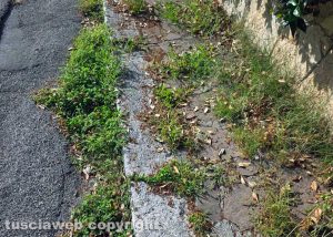 Capranica - Erba infestante e perdita d'acqua in via del Sacro cuore