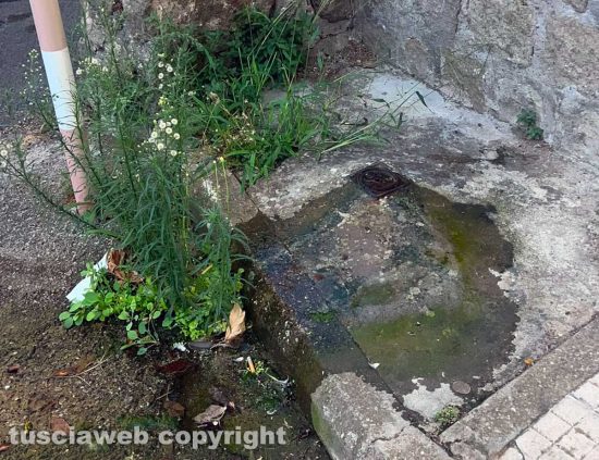Viterbo - Perdita d'acqua da oltre un mese in via Andrea Scriattoli
