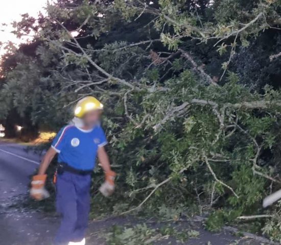 Montefiascone - Alberi cadono sulla Verentana