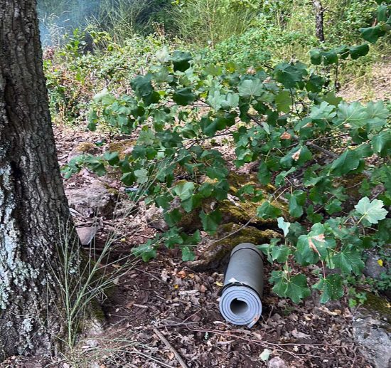 Caprarola - Incendio in località Monte Venere