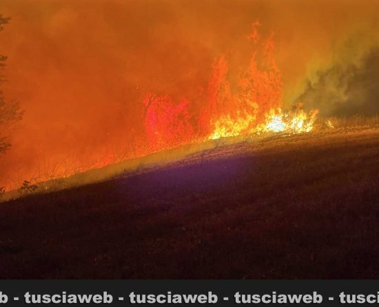L'incendio tra Valentano, Ischia e Farnese