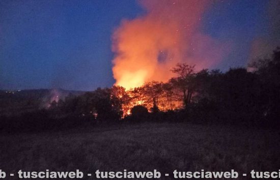 L'incendio tra Valentano, Ischia e Farnese