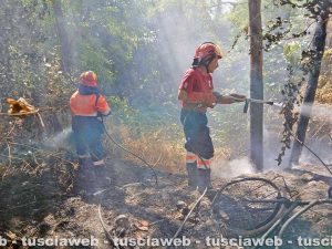Tarquinia – Sterpaglie in fiamme davanti alla stazione