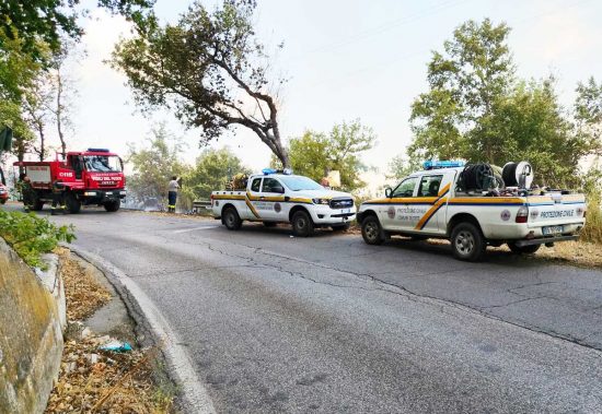 Incendio boschivo tra Orte e Gallese - Vigili del fuoco e protezione civile