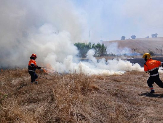 Tarquinia - Incendio zona strada dell'Acquetta