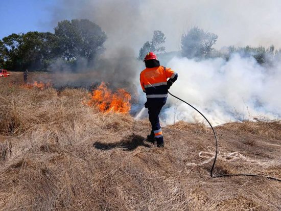 Tarquinia - Incendio zona strada dell'Acquetta
