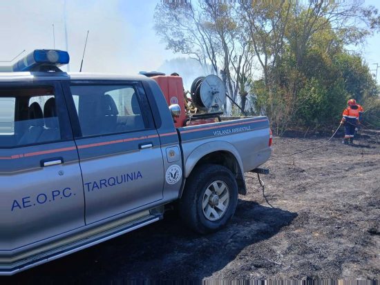Tarquinia - Incendio zona strada dell'Acquetta