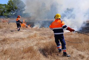 Tarquinia - Incendio zona strada dell'Acquetta