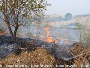 Tarquinia – Tre incendi in poche ore, fiamme in diverse zone del territorio e pesanti disagi alla viabilità