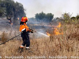 Tarquinia – Tre incendi in poche ore, fiamme in diverse zone del territorio e pesanti disagi alla viabilità