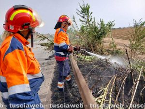 Tarquinia – Tre incendi in poche ore, fiamme in diverse zone del territorio e pesanti disagi alla viabilità