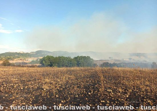 L'incendio tra Valentano, Ischia e Farnese