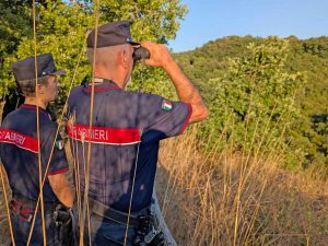 Carabinieri forestale