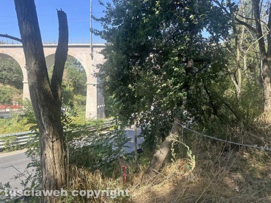La catena legata tra due alberi che impedirebbe l'accesso al ponte a Tobia