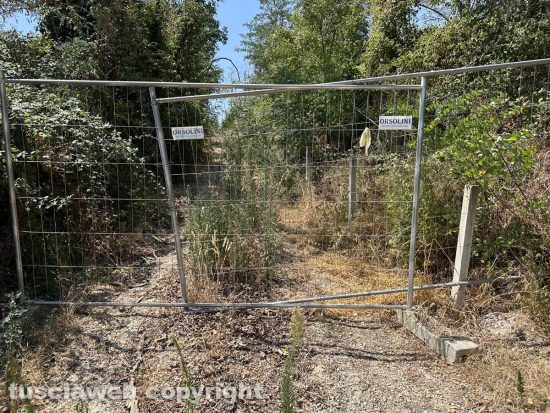 L'erba alta ponte ferroviario in località Ponte dei Quarti a Tobia