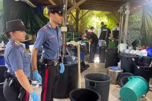 Latina - Cocaina estratta dal pellet e lavorata in un laboratorio clandestino, cinque in manette