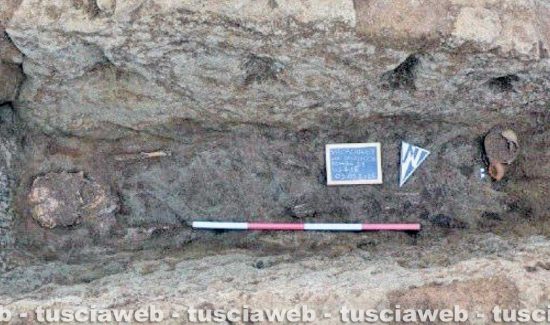 Necropoli del Casalaccio - Resti scheletrici nella tomba 21, in corso di scavo