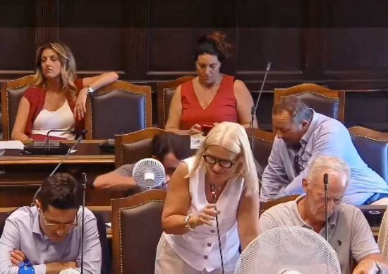 Viterbo - Consiglio comunale - La caduta di Marco De Carolis