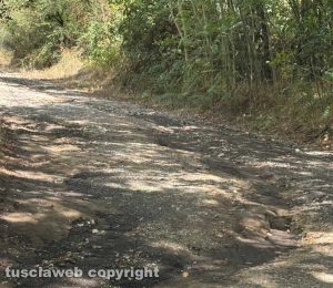 Valentano - Strada di accesso dissestata al Lago di Mezzano