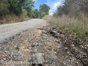 Valentano - Strada di accesso dissestata al Lago di Mezzano