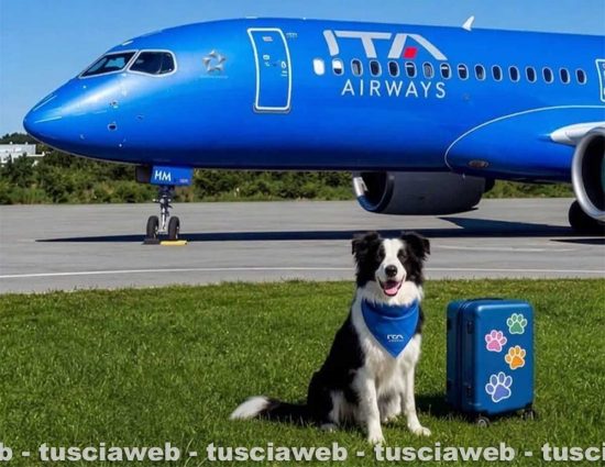 Ita airways - Parte il servizio "Large Dog On Board"