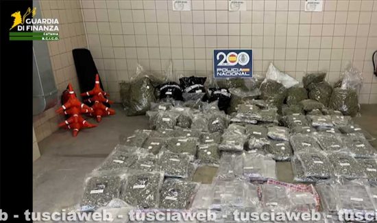 Operazione"Barcellona Express-Farfalla" della guardia di finanza
